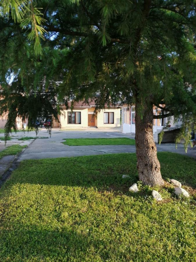 Apartman Studio Katarina Golubac Exterior photo